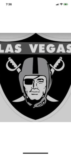 Raiders dolphins 2 - vs,